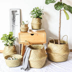 Woven Seagrass Belly Basket — Storage & Planter Basket