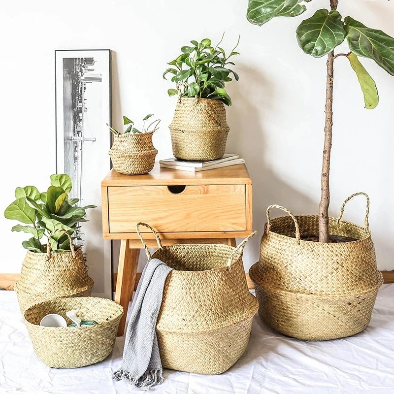 Woven Seagrass Belly Basket — Storage & Planter Basket