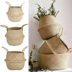 Woven Seagrass Belly Basket — Storage & Planter Basket