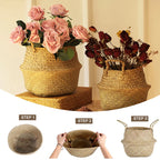 Woven Seagrass Belly Basket — Storage & Planter Basket