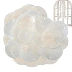 Natural Capiz Shells — Filipino Craft Supply for Décor & Wind Chimes