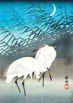Ohara Koson Ukiyo-e Canvas Print — Vintage Japanese Kachō-e Wall Art
