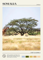 African Travel Wall Art — Minimalist Destination Canvas Print, 24 Designs