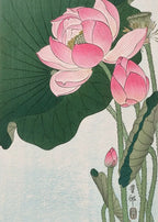 Ohara Koson Ukiyo-e Canvas Print — Vintage Japanese Kachō-e Wall Art