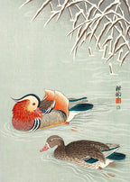 Ohara Koson Ukiyo-e Canvas Print — Vintage Japanese Kachō-e Wall Art